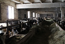 Новый проект реализуют в Усть-Вымском районе