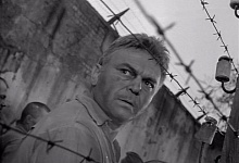 СЕРДЦЕ МАТЕРИ