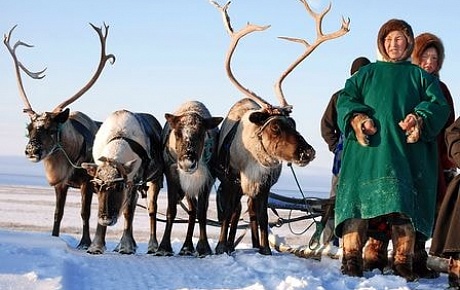 Представители бизнеса и регионов обсудят...